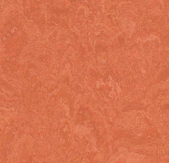 Линолеум Marmoleum Real 3243 Forbo