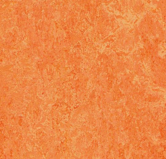 Линолеум Marmoleum Real 3241 Forbo