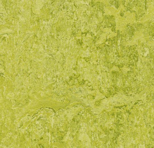 Линолеум Marmoleum Real 3224 Forbo