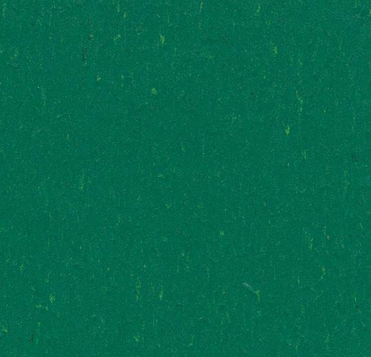 Линолеум Forbo Marmoleum Solid Piano 3649/364935 greenwood