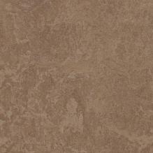 Линолеум Marmoleum Real 3254 Forbo