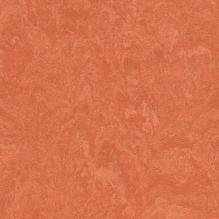 Линолеум Marmoleum Real 3243 Forbo