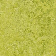 Линолеум Marmoleum Real 3224 Forbo